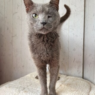 人懐っこさ抜群の愛嬌たっぷりな男の子☆