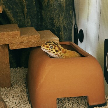 の写真