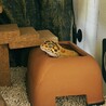 の写真