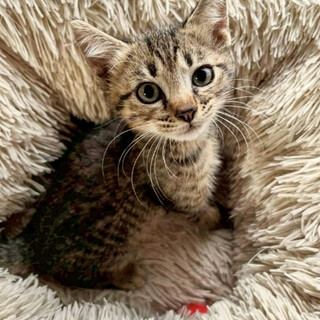 優しいイケメンBOY★かずや君