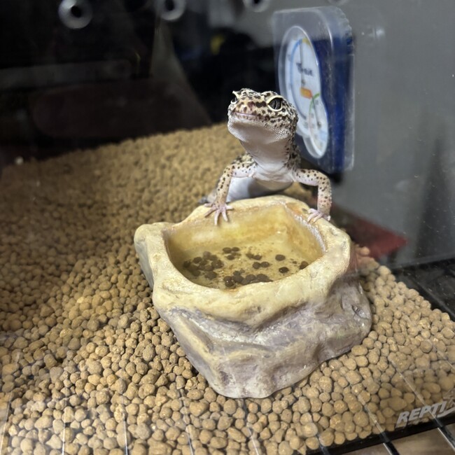 おさぽんのカバー写真