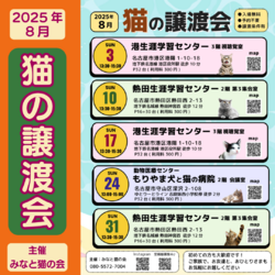 ▼猫の譲渡会▼名古屋市守山区