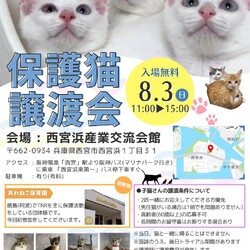 西宮保護ねこ かぎしっぽ主催譲渡会
