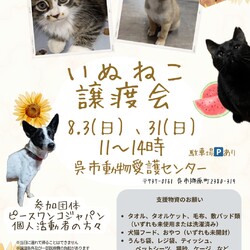 いぬねこ譲渡会