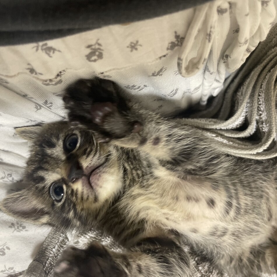 もずくのカバー写真