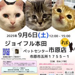 花ねこ譲渡会 サムネイル1