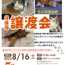 立川市西砂町で猫の譲渡会