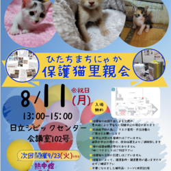 ひたちまちにゃか保護猫里親会