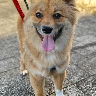 怖いこと多くても頑張る可愛い女の子いつな