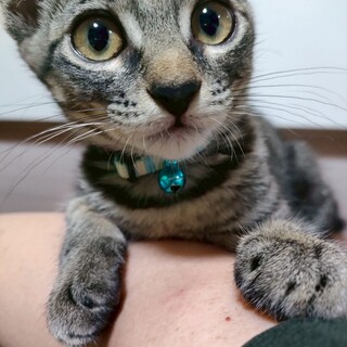 愛嬌抜群！性格花丸の伊代ちゃん♡