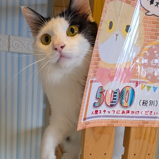 こうたろう君♂