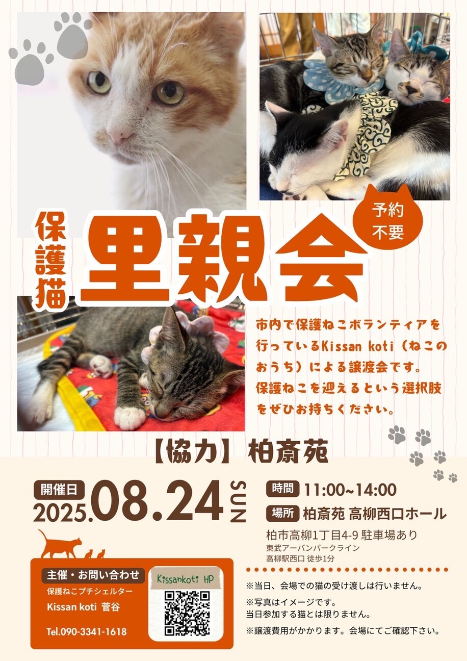 柏斎苑保護ねこ里親会」（保護ねこシェルター Kissankotiのイベント