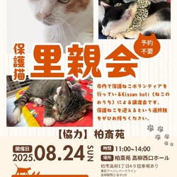 柏斎苑保護ねこ里親会