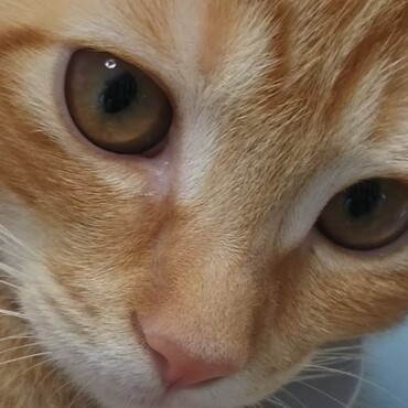 の写真
