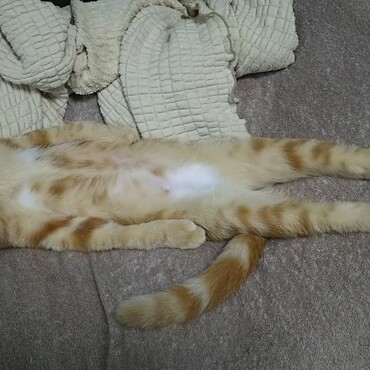 の写真