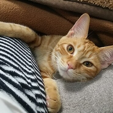 の写真
