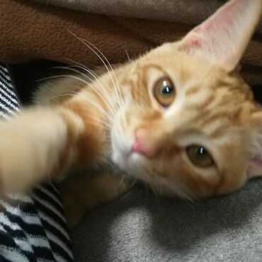 の写真