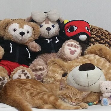 の写真