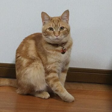の写真