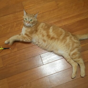 の写真