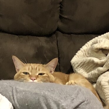 の写真