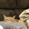 の写真