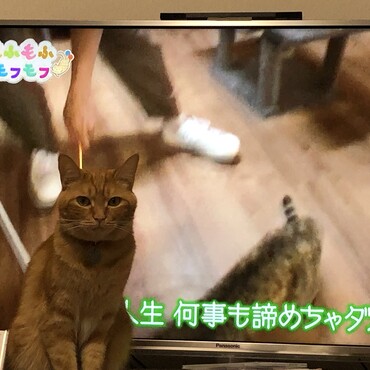 の写真