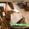 の写真
