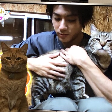 の写真