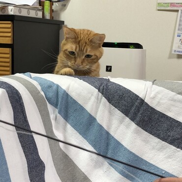 の写真