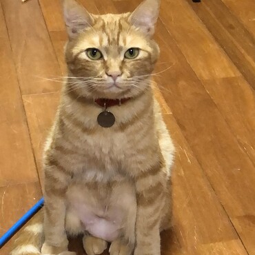 の写真