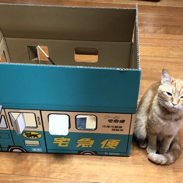 の写真
