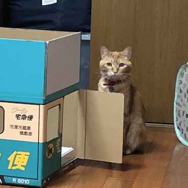 の写真