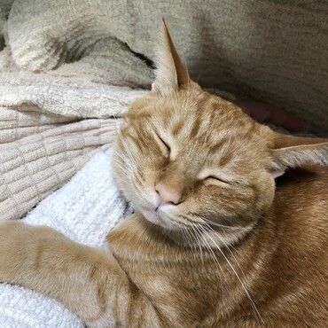 の写真