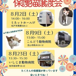 柏市♡保護猫譲渡会♡NPO法人にゃん2 サムネイル1