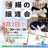 ちょっと怖がりの黒猫ヨウ♀3ヶ月 サムネイル7