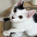 元気いっぱい生後3か月の男の子