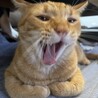 きびまる