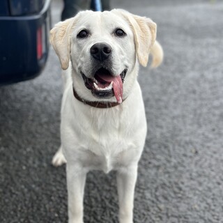 7ヶ月のラブドール、ゆいちゃん！