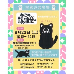 保護ねこ譲渡会in横浜市動物愛護センター サムネイル1