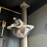 なーとー