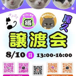 ほごねこ東京譲渡会＠尾久