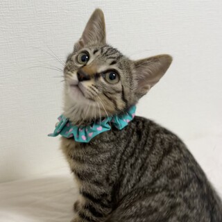 空くん　元気いっぱいで甘えん坊な男の子