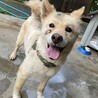 遊びが大好きで真っ黒になって帰ってきました笑
