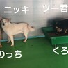 おでこにダイヤを持つのっち♦️室内トイレも完璧！ サムネイル7