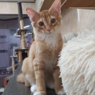 人なれ抜群　とっても陽気なあさひくん