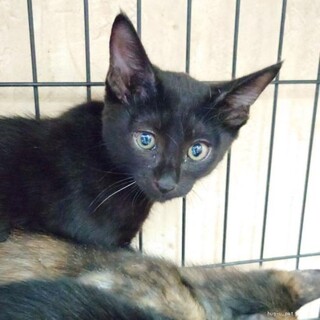 元気いっぱい　甘えんぼうなあおくん　生後3ヶ月