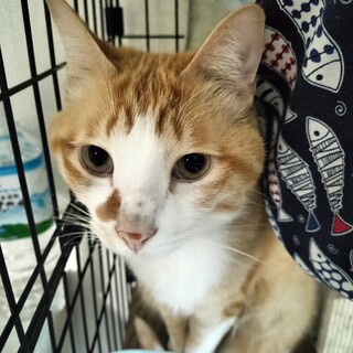 元気で優しい男の子です！