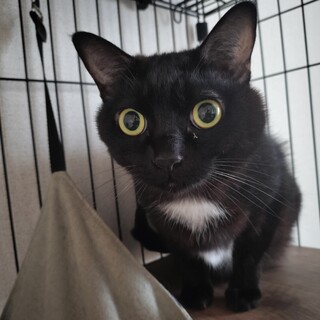 エンジェルマークがある女の子です！