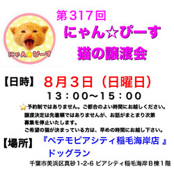 にゃん☆ぴーす猫の譲渡会【稲毛海岸/ペテモピアシティ稲毛海岸店』